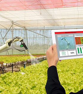 ИИ и робототехника на службе фермеров: будущее АПК уже здесь